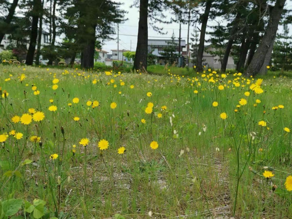 臨湖 荘 Villa Takashima Buitenkant foto